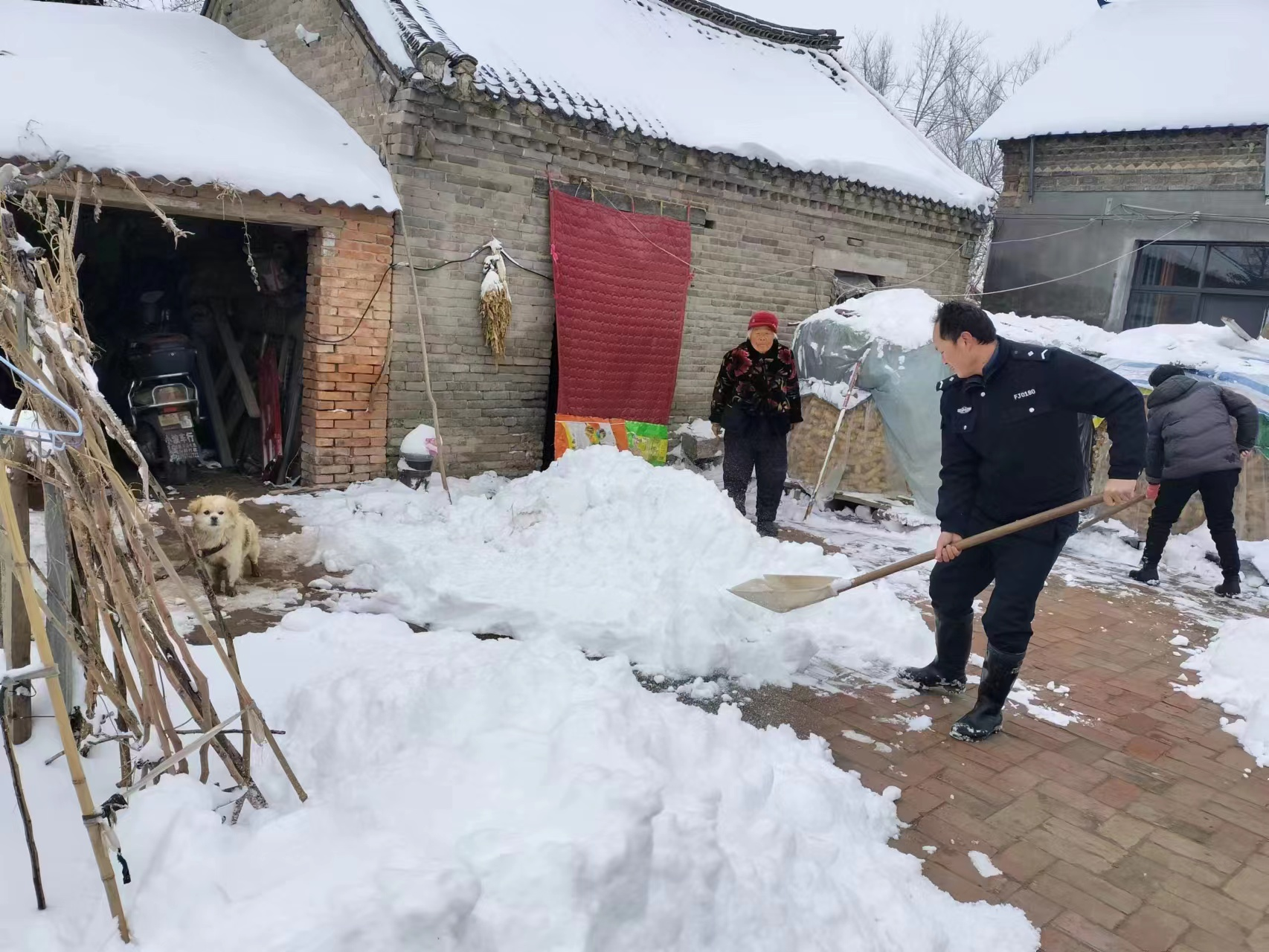 堌阳镇抗击暴风雪 全员在行动_20231212_5671033206560730089.jpg